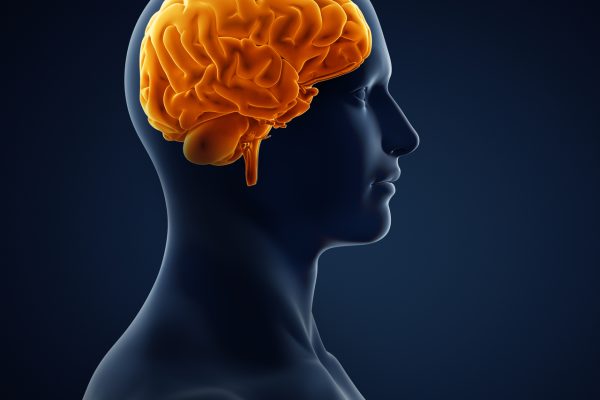 MS Hastalığı Türkiye’de 85 Bini Aştı: Sessiz İlerleyen Tehlike